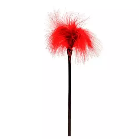 PLUMAS PARA CARÍCIAS E CÓCEGAS PENA na internet