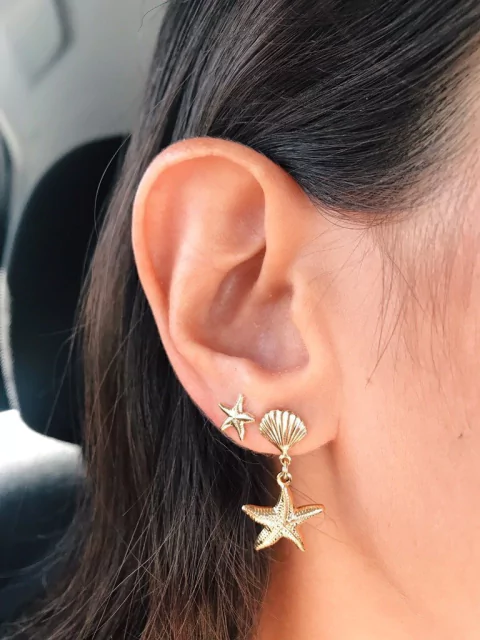 Composição estrelinhas do mar Folheados