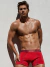*XY* 1600-E BOXER ALGODON Y LYCRA (1600-EXY) en internet