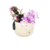 Decora con nuestra Maceta Perrito de cerámica. Ideal para tus plantas, hecha por emprendedores locales