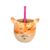 Mate Gatito