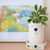 Maceta Oso Polar Mediano Con Platito - tienda online