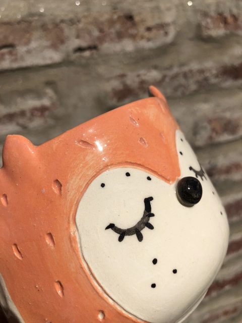 Tazon Mediano - Zorrito