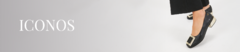 Banner de la categoría Iconos