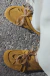 Mocasin Antu Suede en internet