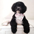 Bandana floral para perro y gato. Camiseta de Messi, bandana para mascotas. Ideal para venta en pet shops y veterinarias, hacemos ventas mayoristas. Panda Rojo Deco, decoración para tu hogar.