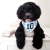 Bandana para perro y gato de la selección argentina. Camiseta de Messi, bandana para mascotas. Ideal para venta en pet shops y veterinarias, hacemos ventas mayoristas. Panda Rojo Deco, decoración para tu hogar.