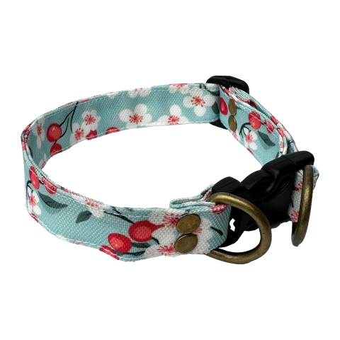 Collar para perro, gato, mascota, regulable, reforzado, estampado. Ideal para petshop y veterinarias. Panda Rojo Deco.