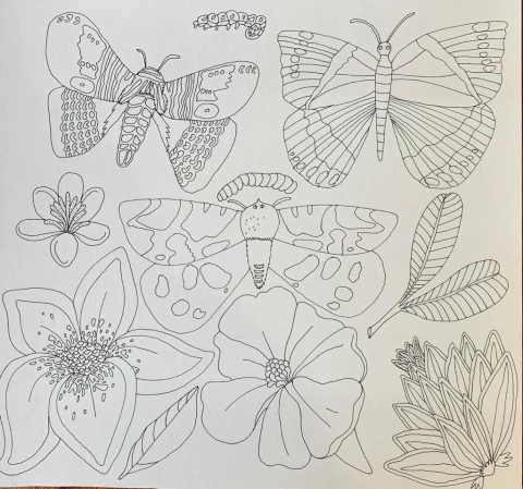 Sin Título (serie Trópico) - Powerpaola