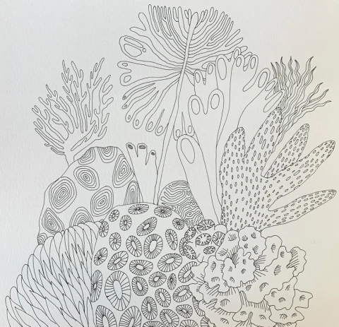 Sin Título (serie Trópico) - Powerpaola