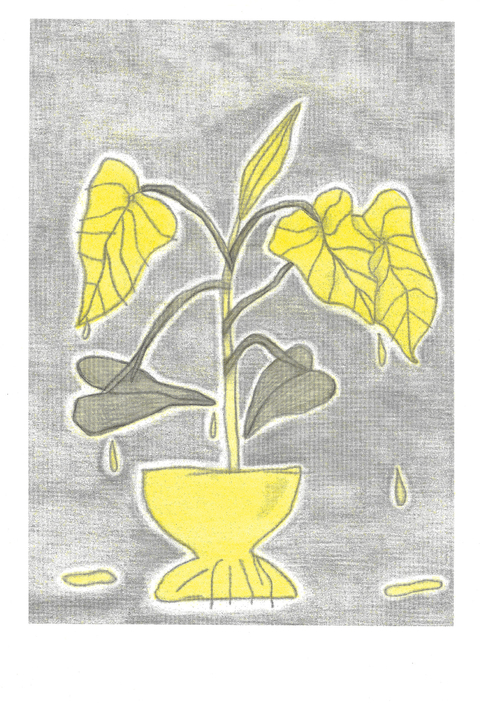 Planta Llorando - María Centeno