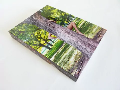 Enlarge - Diego Bianchi (KBB editora)