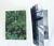 Enlarge - Diego Bianchi (KBB editora) - comprar online