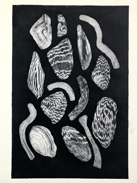 Piedras - Sofía Noceti