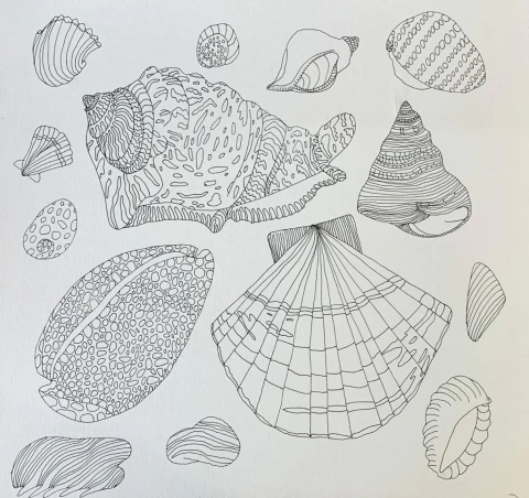 Sin Título (serie Trópico) - Powerpaola