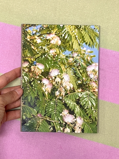 Sin título - Flore Aversa - comprar online