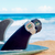 G-Shock "Surf" G-Lide GLX-S5600-1DR
