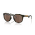 Oakley Solar HSTN - OOO9242 92420352