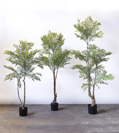 PLANTA NANTIAN BAMBOO - comprar online