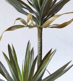 PLANTA ARTIFICIAL PALM - Compañia Nativa