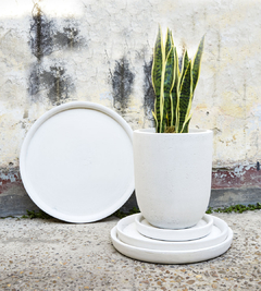 PLATO DION CREMA - comprar online