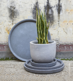 PLATO DION GRIS - comprar online