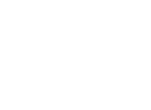 NUUK CARTERAS DE CUERO