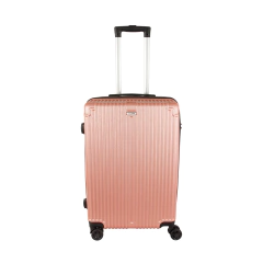 Imagen de Valija Mediana Aconcagua