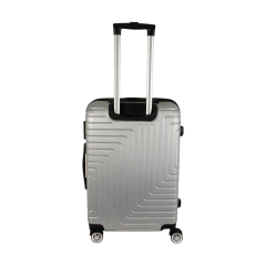 Valija Mediana Fuji en internet