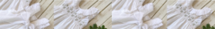 Banner de la categoría Con Mangas