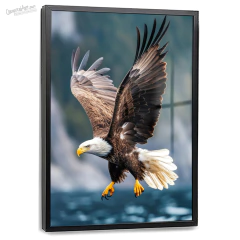 Quadro Decorativo - Águia em voo cod0456 - comprar online