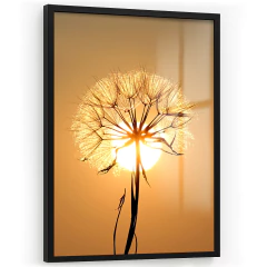Quadro Decorativo - Dente de Leão Sunset cod0597 - comprar online