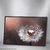 Quadro Decorativo - Dente-de-Leão cod0033 - comprar online