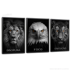 Quadros Decorativos - Conj. Disciplina, Foco e Execução preto e branco (Leão, Águia, Tigre) cod0154