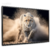 Quadro Decorativo - Leopardo cod0064