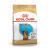 Royal Canin Mini Dachshund Puppy