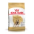 Royal Canin Bull Dog France Adulto