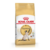 Royal Canin Gato Siamese
