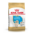 Royal Canin Golden Puppy