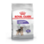 Royal Canin Mini Castrado