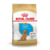 Royal Canin Mini Poodle Junior
