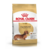 Royal Canin Mini Dachshund