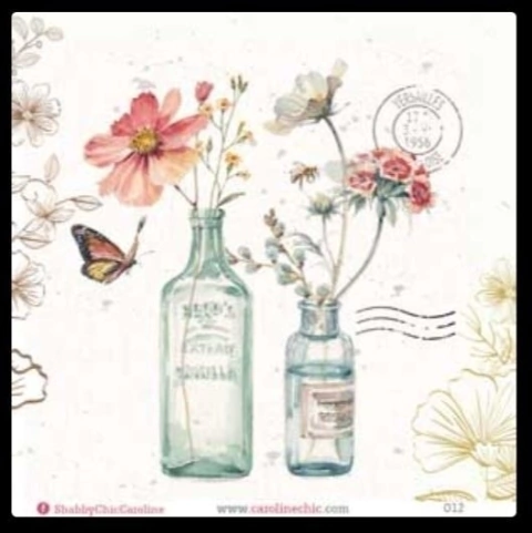 Lamina Autoadhesiva Caroline Shabby Chic - CH12