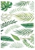 LAMINA SUBLIMACION 35x25 BOTANICA L1012 CAMILA