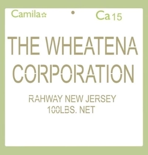 Plantilla Stencil Cast15 Wheatena 30x30 Camila
