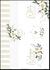 Etiqueta Autoadhesiva A4 Caroline Shabby Chic - GR490