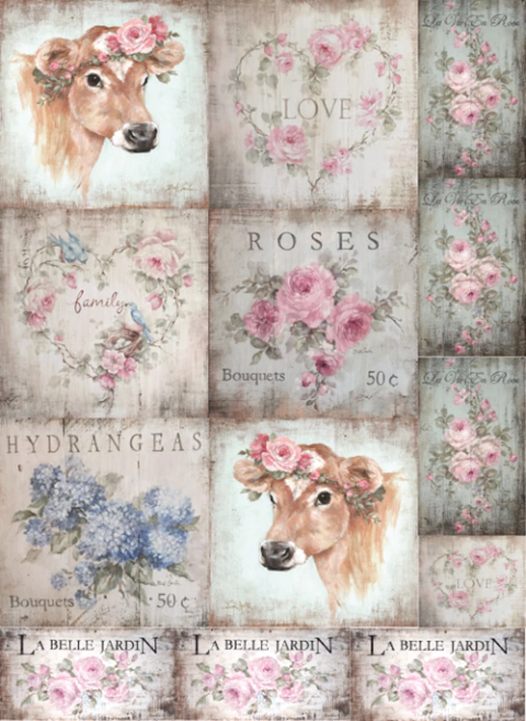 La Tiendita Shabby Chic - Lamina De Seda 50x70 - HPN2