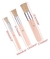 Set X 3 Pincel Taponador Ponceador Cerdas Duras