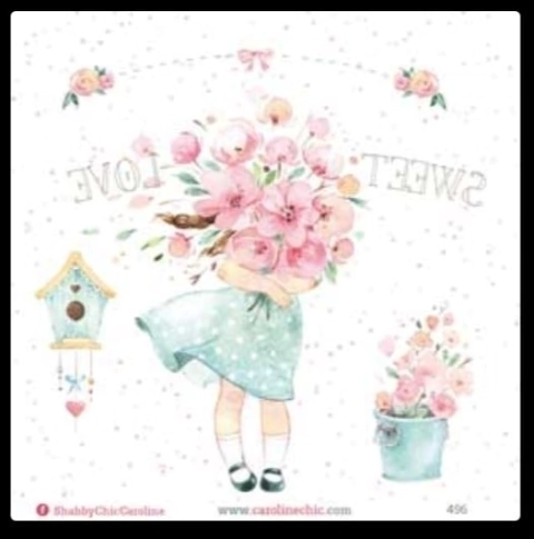 LAMINA TRANSFERENCIA CAROLINE SHABBY CHIC - TCH496