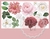 VINILO GIGANTE PEONIAS 55x130cm -  Decox2lab